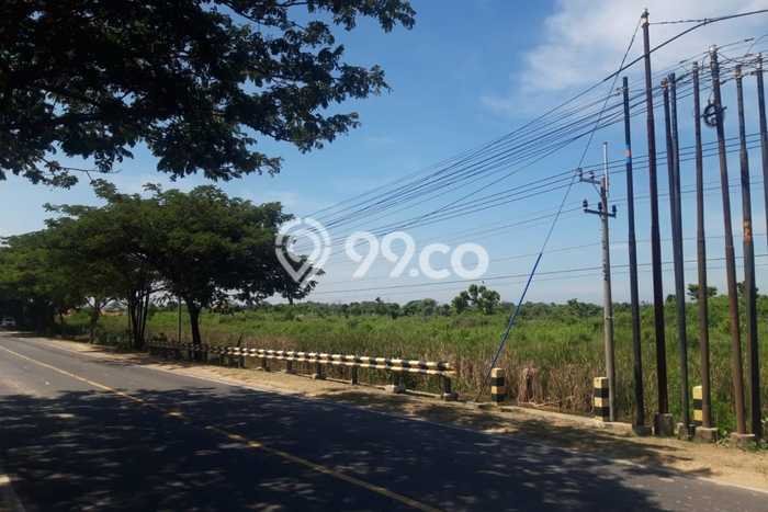 Kavling Tanah di Tuban Dijual Luas 92m2 Legalitas - Kavling Tanah di Tuban Dijual Luas 92m2 Legalitas -