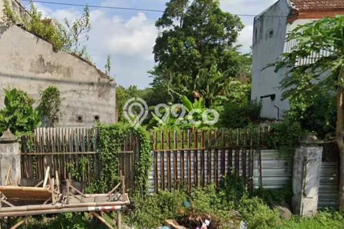 Tanah untuk Dijual Lokasi Bangsalsari, Jember Luas 5157m2 SHM Tanah untuk Dijual Lokasi Bangsalsari, Jember Luas 5157m2 SHM