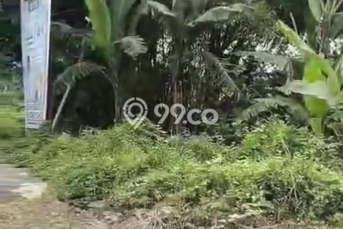 Kavling Tanah di Ngawi Dijual Luas 5200m2 Legalitas SHM Kavling Tanah di Ngawi Dijual Luas 5200m2 Legalitas SHM