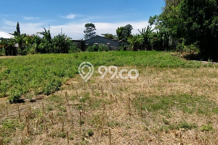 Jarang Ada! Tanah Kavling Disewakan di Denpasar 366m2 Jarang Ada! Tanah Kavling Disewakan di Denpasar 366m2