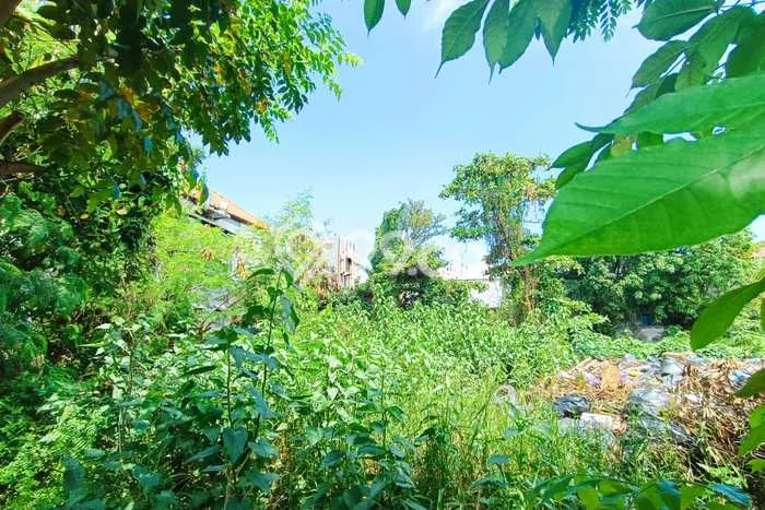 Tanah Disewa Strategis di Badung Luas 1485m2 Tanah Disewa Strategis di Badung Luas 1485m2