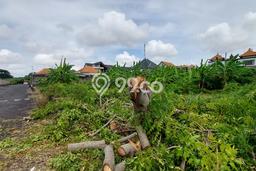 Tanah Dijual Lokasi Strategis di Denpasar dengan Luas 232m2 Tanah Dijual Lokasi Strategis di Denpasar dengan Luas 232m2