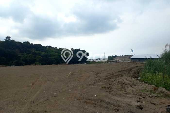 Tanah Dijual Lokasi Ngaliyan, Semarang Luas 2000m2 Legalitas Aman Tanah Dijual Lokasi Ngaliyan, Semarang Luas 2000m2 Legalitas Aman