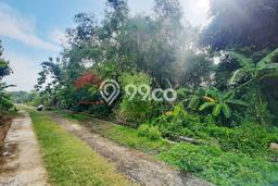 Tanah Area Prospektif di Sumobito, Luas 273m2m², Dekat ke Pusat Kota, Lingkungan Asri Tanah Area Prospektif di Sumobito, Luas 273m2m², Dekat ke Pusat Kota, Lingkungan Asri