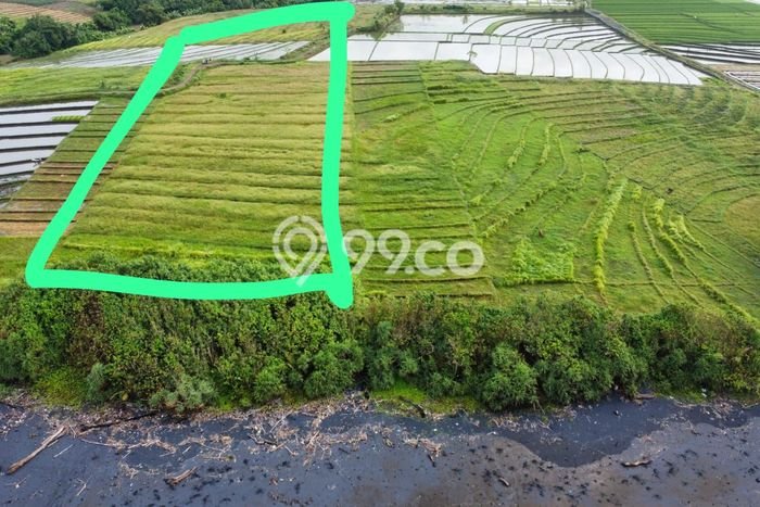 Lahan untuk Dijual di Tabanan Tabanan Luas 7900m2 Lahan untuk Dijual di Tabanan Tabanan Luas 7900m2