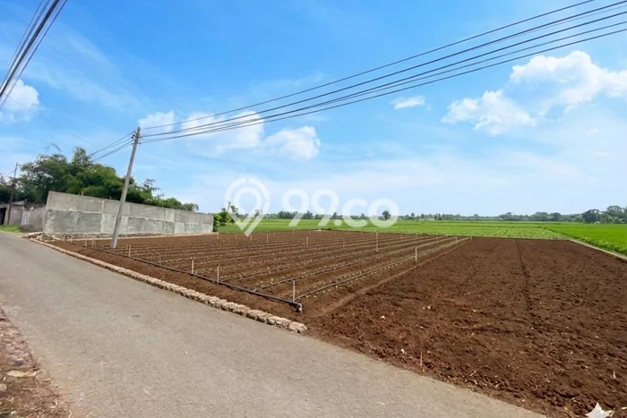 Jarang Ada! Tanah di Cicalengka Punya Luas 115m2 SHM Jarang Ada! Tanah di Cicalengka Punya Luas 115m2 SHM