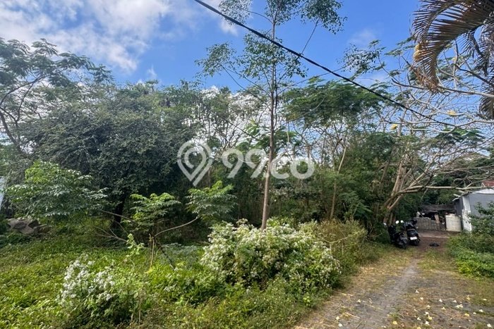 Tanah Kavling Dijual di Badung dengan Spesifikasi 600m2 Tanah Kavling Dijual di Badung dengan Spesifikasi 600m2