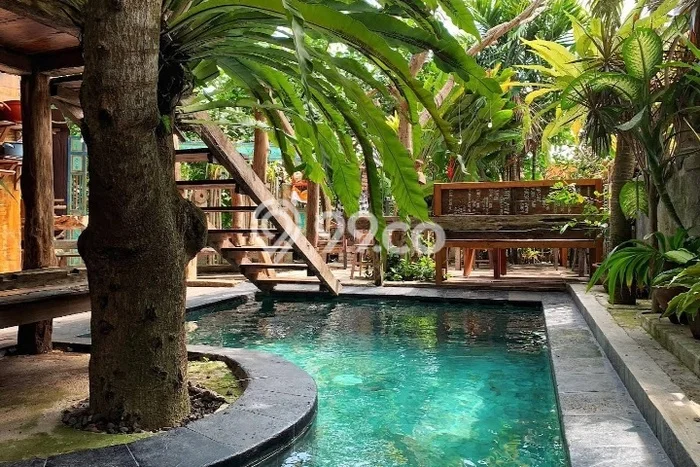Dijual Kost 8 Kamar di Badung untuk Investasi Anda Dijual Kost 8 Kamar di Badung untuk Investasi Anda