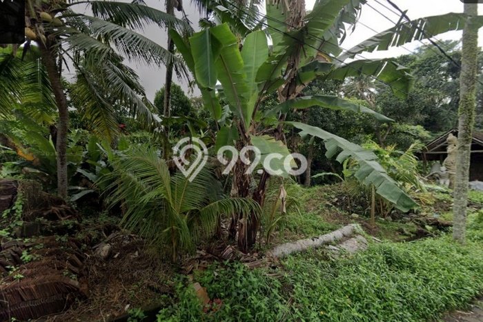 Tanah Dijual Area Strategis di Mas Gianyar 618m2 Tanah Dijual Area Strategis di Mas Gianyar 618m2