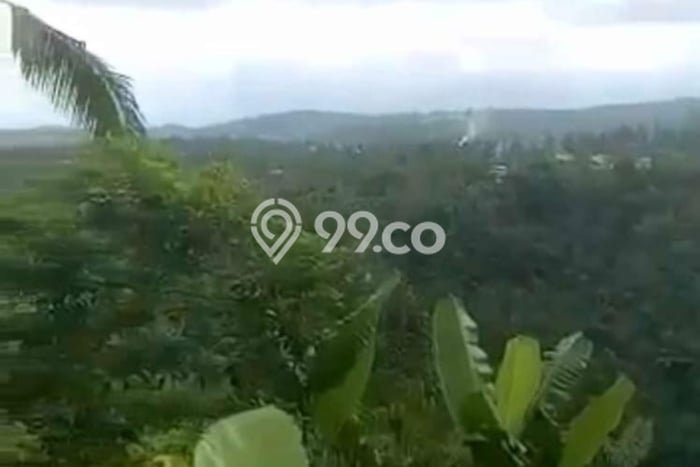 Lahan untuk Dijual Lokasi Payangan, Gianyar Luas 2200m2 SHM Lahan untuk Dijual Lokasi Payangan, Gianyar Luas 2200m2 SHM