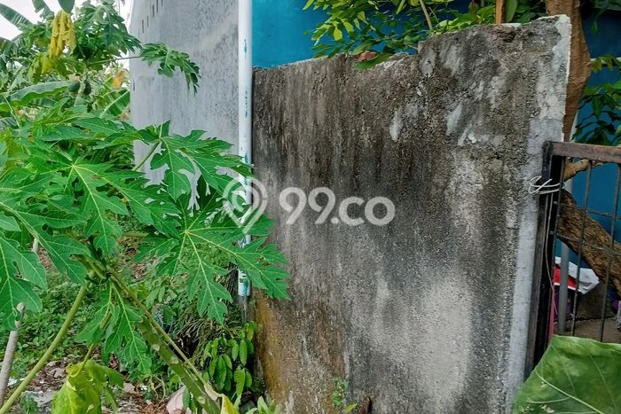 Kavling Tanah Dijual di Mranggen Demak Spesifikasi 126m2 Kavling Tanah Dijual di Mranggen Demak Spesifikasi 126m2