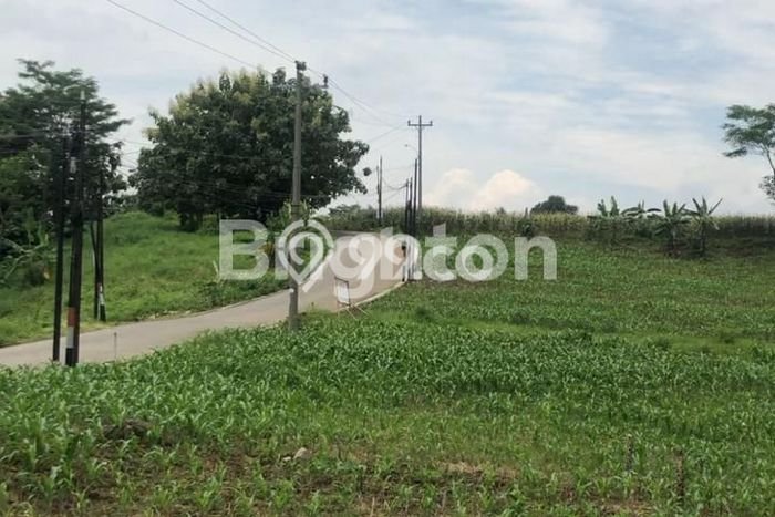 Lahan untuk Dijual Lokasi Ngaliyan, Semarang Luas 10765m2 SHM Lahan untuk Dijual Lokasi Ngaliyan, Semarang Luas 10765m2 SHM