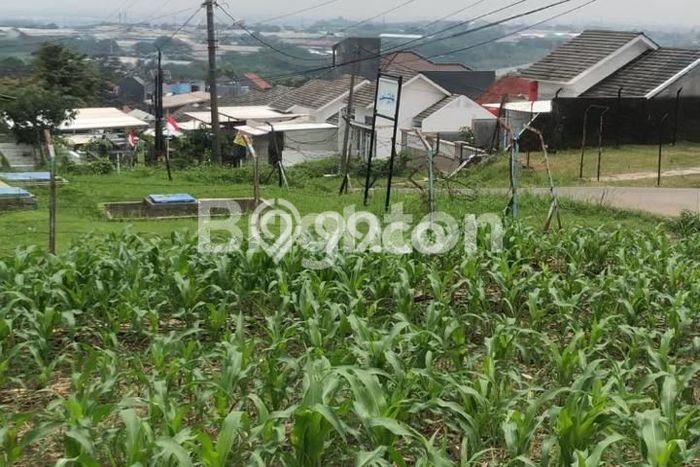 Lahan untuk Dijual Lokasi Ngaliyan, Semarang Luas 10765m2 SHM Lahan untuk Dijual Lokasi Ngaliyan, Semarang Luas 10765m2 SHM