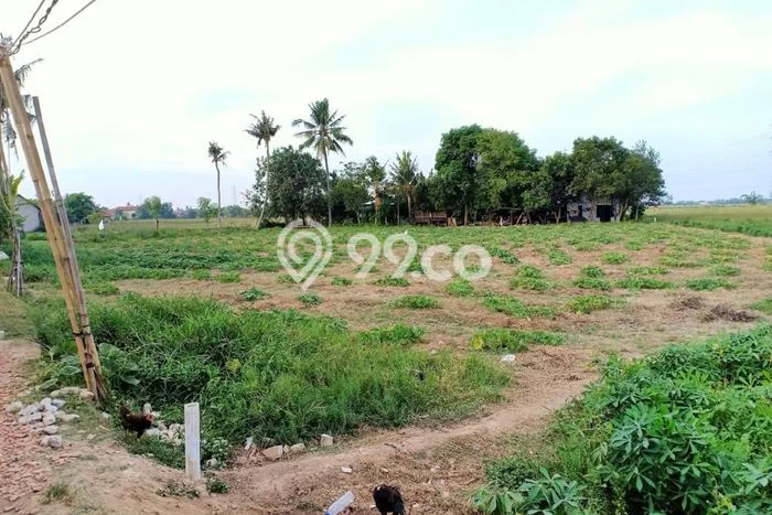 Tanah Kosong Dijual di Bekasi dengan Area 2000m2 Tanah Kosong Dijual di Bekasi dengan Area 2000m2