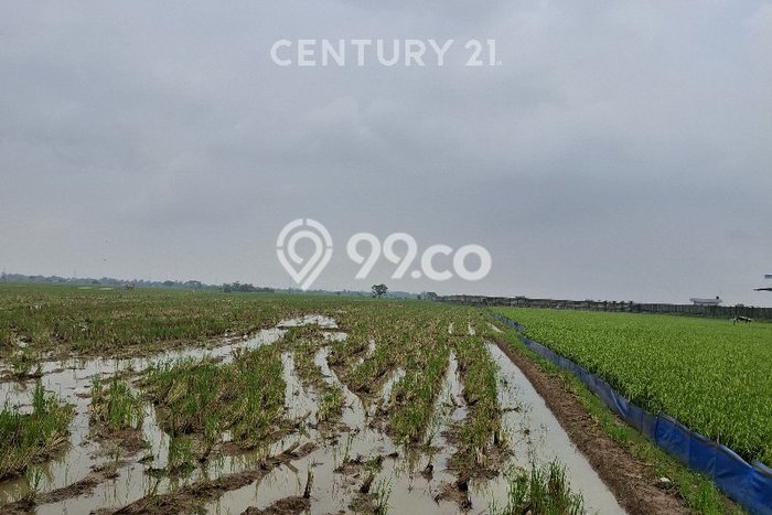 Tanah Dijual Lokasi Karawang Barat, Karawang Luas 40000m2 Legalitas Aman Tanah Dijual Lokasi Karawang Barat, Karawang Luas 40000m2 Legalitas Aman