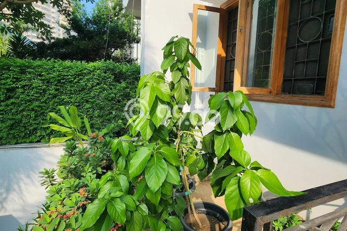 Siap Huni Rumah Mewah 5 Kamar di Kelapa Gading Dekat ke Mana Pun Siap Huni Rumah Mewah 5 Kamar di Kelapa Gading Dekat ke Mana Pun