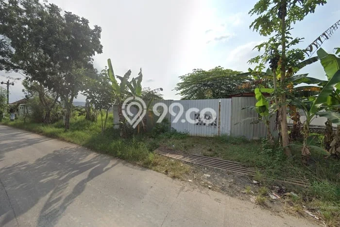 Tanah Investasi Disewakan di Tembalang, Semarang, Luas 5000m2 Tanah Investasi Disewakan di Tembalang, Semarang, Luas 5000m2