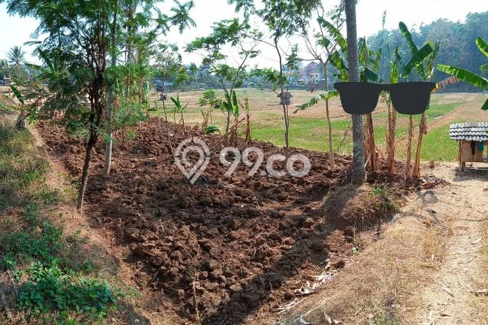 Lahan untuk Dijual Lokasi Ungaran Timur, Semarang Luas 455m2 SHM Lahan untuk Dijual Lokasi Ungaran Timur, Semarang Luas 455m2 SHM