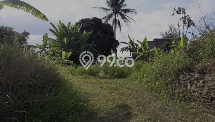 Tanah Dijual Lokasi Strategis di Salatiga dengan Luas 3300m2 Tanah Dijual Lokasi Strategis di Salatiga dengan Luas 3300m2