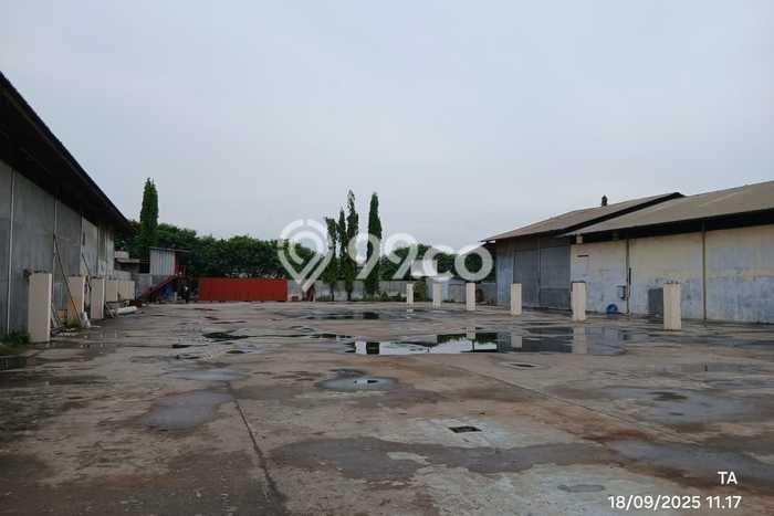 FOR RENT! Gudang di Kapuk Kamal Cocok untuk Bisnis 1800m2 FOR RENT! Gudang di Kapuk Kamal Cocok untuk Bisnis 1800m2