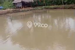 Lahan Dijual Lokasi Cimanuk, Pandeglang dengan Luas Tanah 2800m2 dan Status - Lahan Dijual Lokasi Cimanuk, Pandeglang dengan Luas Tanah 2800m2 dan Status -