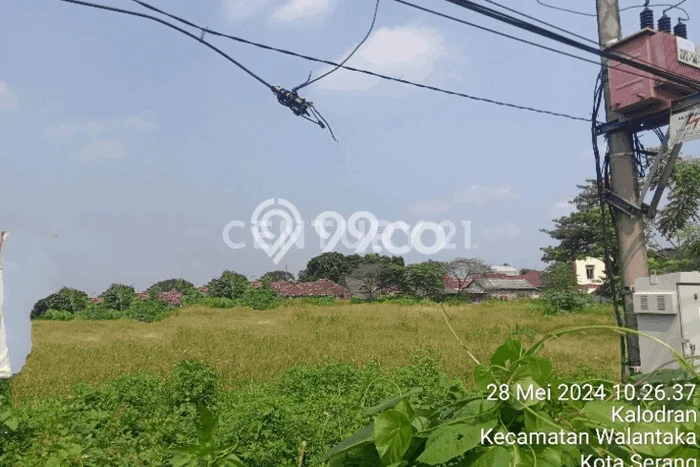 Tanah Kavling untuk Dijual di Ciruas Serang 4665m2 Tanah Kavling untuk Dijual di Ciruas Serang 4665m2
