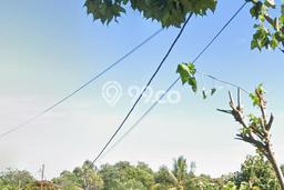 Lahan Kosong Dijual di Alak, Kupang, Luas 1730m2 Area Strategis Lahan Kosong Dijual di Alak, Kupang, Luas 1730m2 Area Strategis