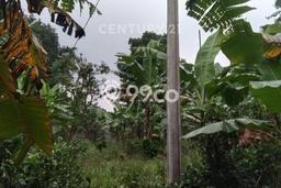 Untuk Dijual Tanah di Cugenang Cianjur Luas 3244m2 SHM Untuk Dijual Tanah di Cugenang Cianjur Luas 3244m2 SHM