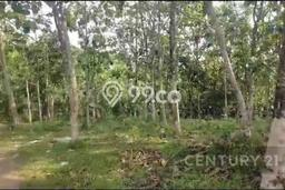 Tanah Komersial Dijual di Bojongmanik Lebak 290000m2 Tanah Komersial Dijual di Bojongmanik Lebak 290000m2