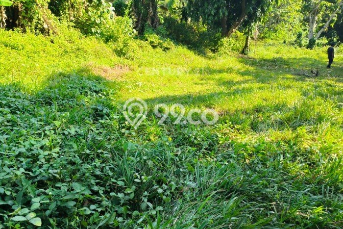 Kavling Tanah Dijual di Taktakan Serang Spesifikasi 2600m2 Kavling Tanah Dijual di Taktakan Serang Spesifikasi 2600m2