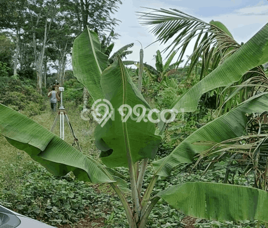 Tanah Kavling di Maja Dijual dengan Luas 5365m2 Tanah Kavling di Maja Dijual dengan Luas 5365m2