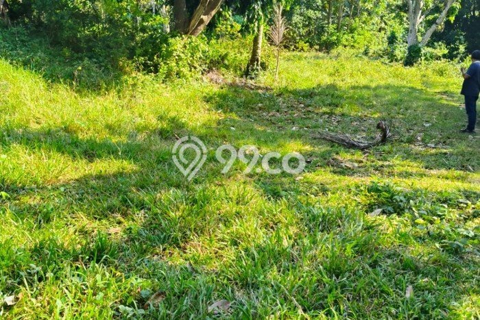 Kavling Tanah Dijual di Taktakan Serang Spesifikasi 2600m2 Kavling Tanah Dijual di Taktakan Serang Spesifikasi 2600m2