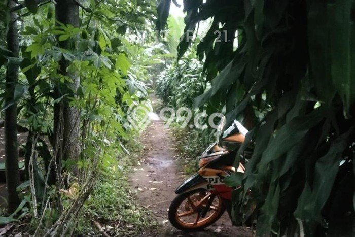 Untuk Dijual Tanah di Cugenang Cianjur Luas 3244m2 SHM Untuk Dijual Tanah di Cugenang Cianjur Luas 3244m2 SHM