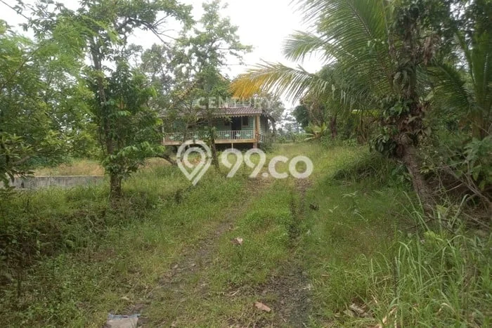 Tanah untuk Dijual di Baros Serang Luas 1834m2 Tanah untuk Dijual di Baros Serang Luas 1834m2