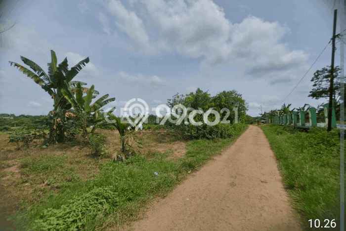 Tanah Kavling di Maja Dijual dengan Luas 5365m2 Tanah Kavling di Maja Dijual dengan Luas 5365m2