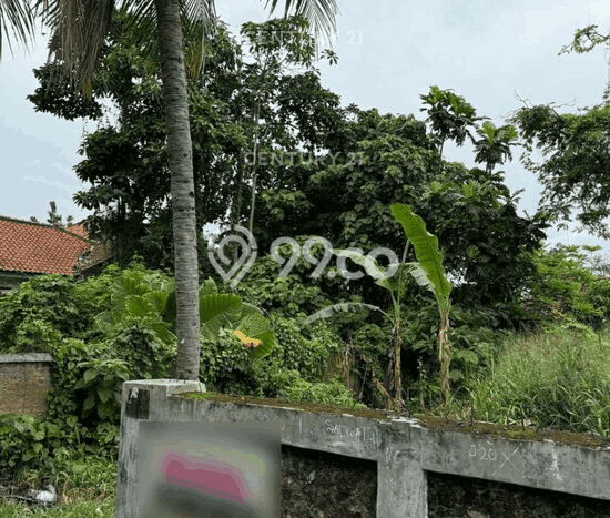 Kavling Tanah Dijual di Taktakan, Serang, Luas 204m2 Area Strategis Kavling Tanah Dijual di Taktakan, Serang, Luas 204m2 Area Strategis