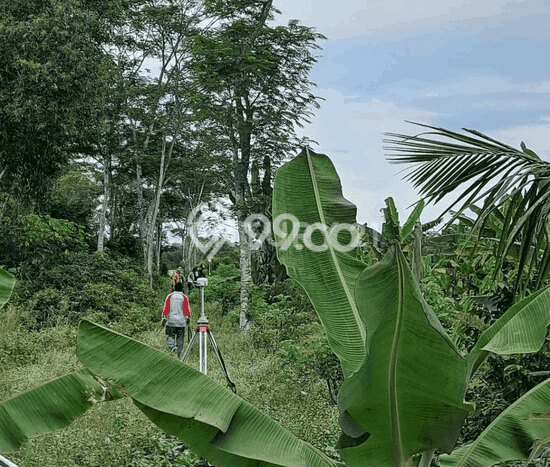 Tanah Kavling di Maja Dijual dengan Luas 5365m2 Tanah Kavling di Maja Dijual dengan Luas 5365m2