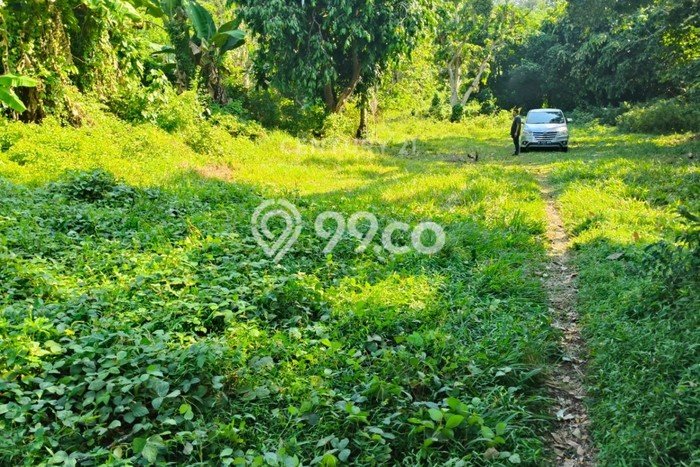 Kavling Tanah Dijual di Taktakan Serang Spesifikasi 2600m2 Kavling Tanah Dijual di Taktakan Serang Spesifikasi 2600m2