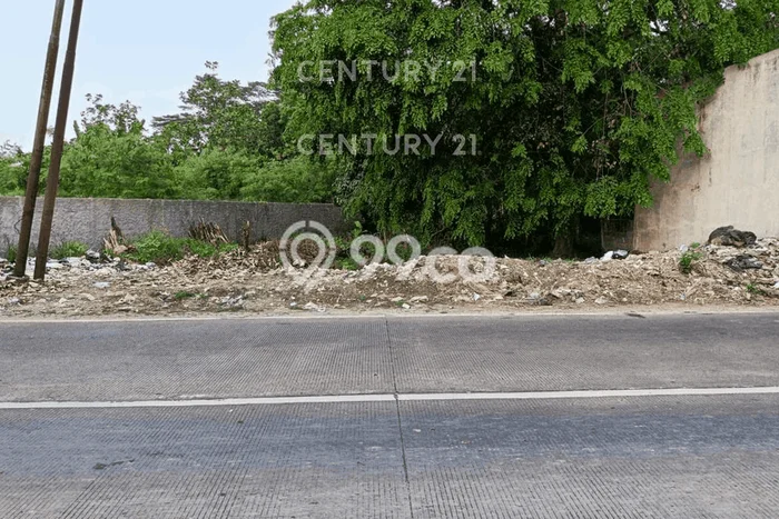 Dijual Tanah di Cipocok Jaya Serang Luas 569m2 - Dijual Tanah di Cipocok Jaya Serang Luas 569m2 -