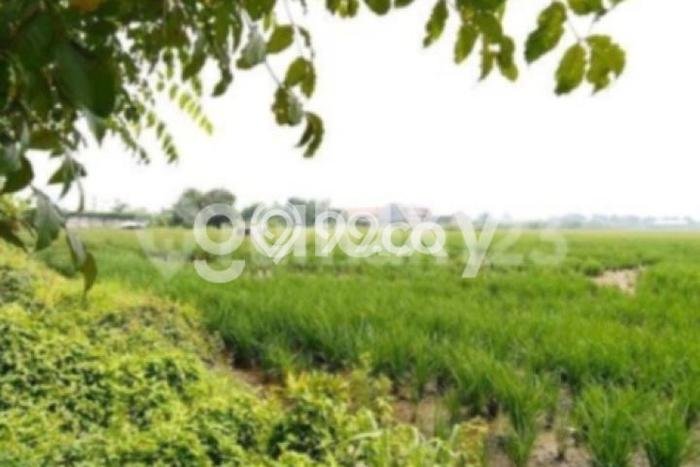 Kavling Tanah di Krian Dijual Luas 67717m2 Legalitas - Kavling Tanah di Krian Dijual Luas 67717m2 Legalitas -