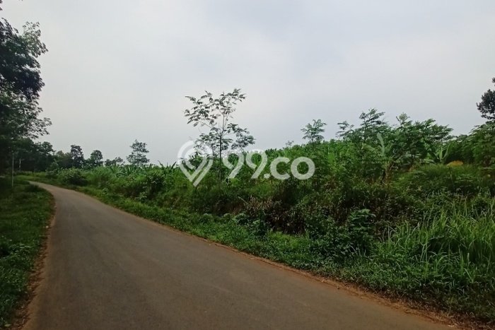 Lahan Kosong Dijual di Lebak dengan Area 110000m2 Lahan Kosong Dijual di Lebak dengan Area 110000m2