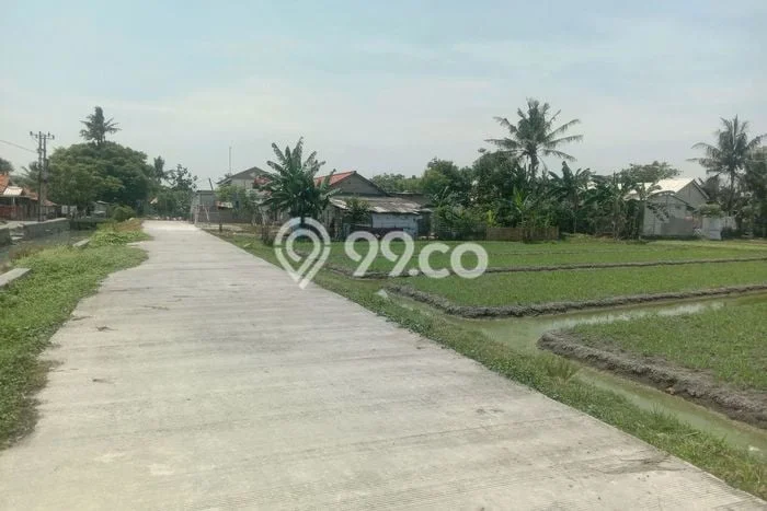 Tanah Kosong Dijual di Tangerang dengan Area 32000m2 Tanah Kosong Dijual di Tangerang dengan Area 32000m2