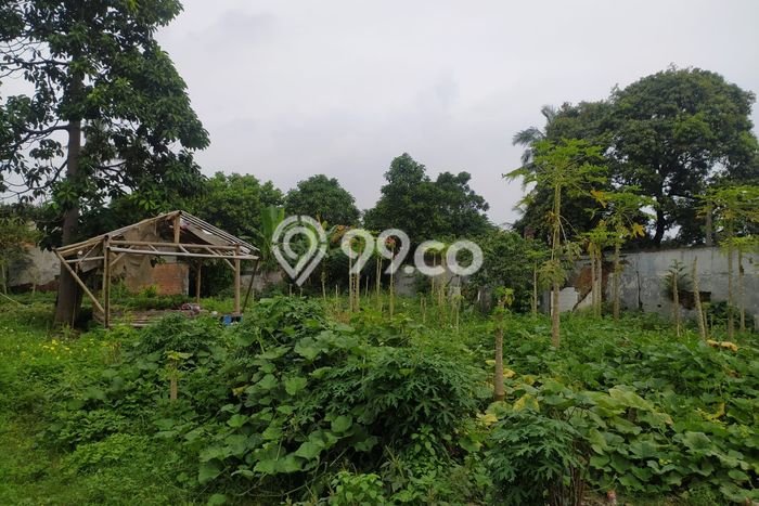Jarang Ada! Tanah Kavling Disewakan di Bekasi 3036m2 Jarang Ada! Tanah Kavling Disewakan di Bekasi 3036m2