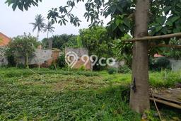 Jarang Ada! Tanah Kavling Disewakan di Bekasi 3036m2 Jarang Ada! Tanah Kavling Disewakan di Bekasi 3036m2