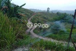Tanah Kavling untuk Dijual di Sukanagara Cianjur 128000m2 Tanah Kavling untuk Dijual di Sukanagara Cianjur 128000m2