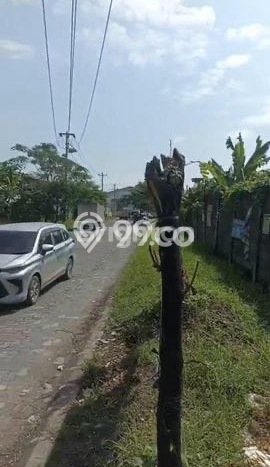 Tanah Kavling untuk Dijual di Semarang Barat Semarang 9647m2 Tanah Kavling untuk Dijual di Semarang Barat Semarang 9647m2