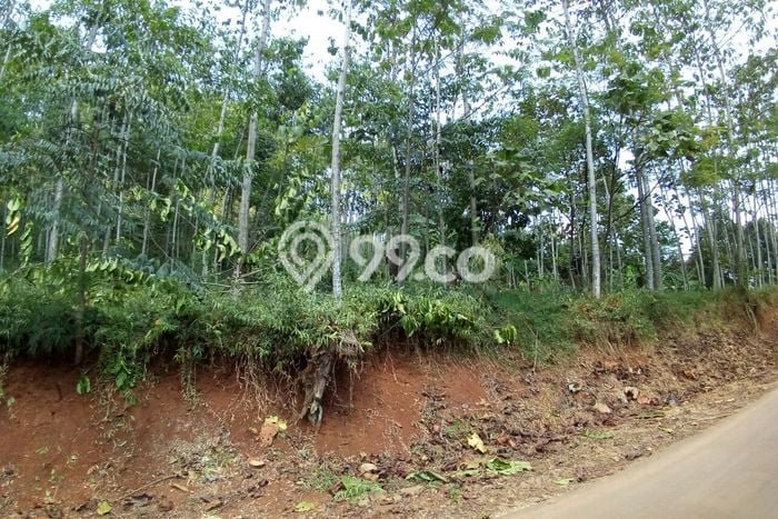 Lahan Strategis di Cijambe Dijual dengan Luas 21000m2 Lahan Strategis di Cijambe Dijual dengan Luas 21000m2