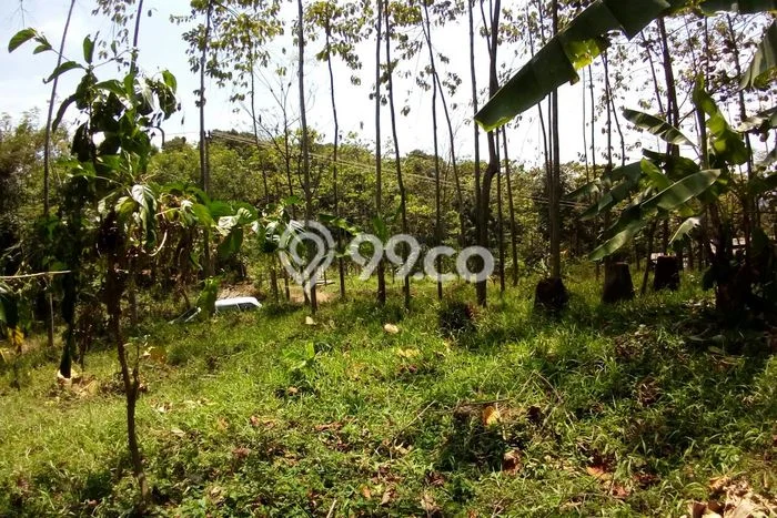 Lahan Strategis di Cijambe Dijual dengan Luas 21000m2 Lahan Strategis di Cijambe Dijual dengan Luas 21000m2