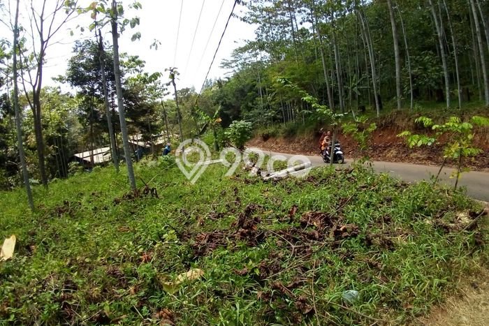 Lahan Strategis di Cijambe Dijual dengan Luas 21000m2 Lahan Strategis di Cijambe Dijual dengan Luas 21000m2