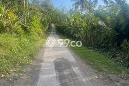 Tanah di Jimbaran, Luas 69350m2m², Jalur Mudah Tanah di Jimbaran, Luas 69350m2m², Jalur Mudah
